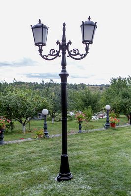Чавунний парковий світильник 3,9 м на 2 плафони 